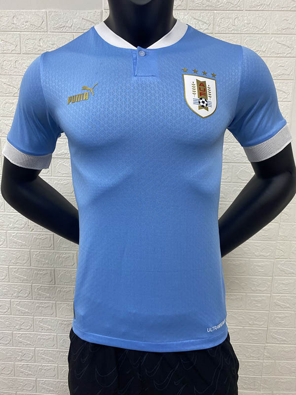 AAA Quality Uruguay 2022 World Cup Home Jersey(Player)